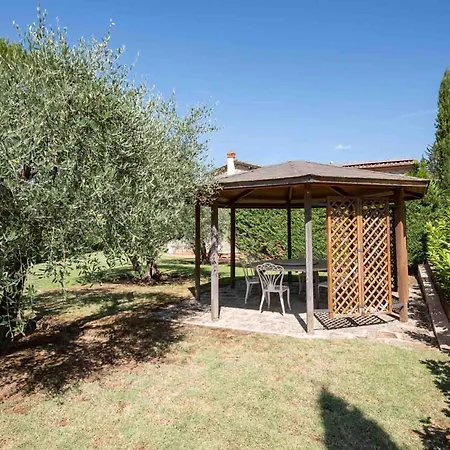 La Selva Wine * Bucine