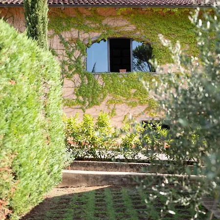 Resort La Selva Wine